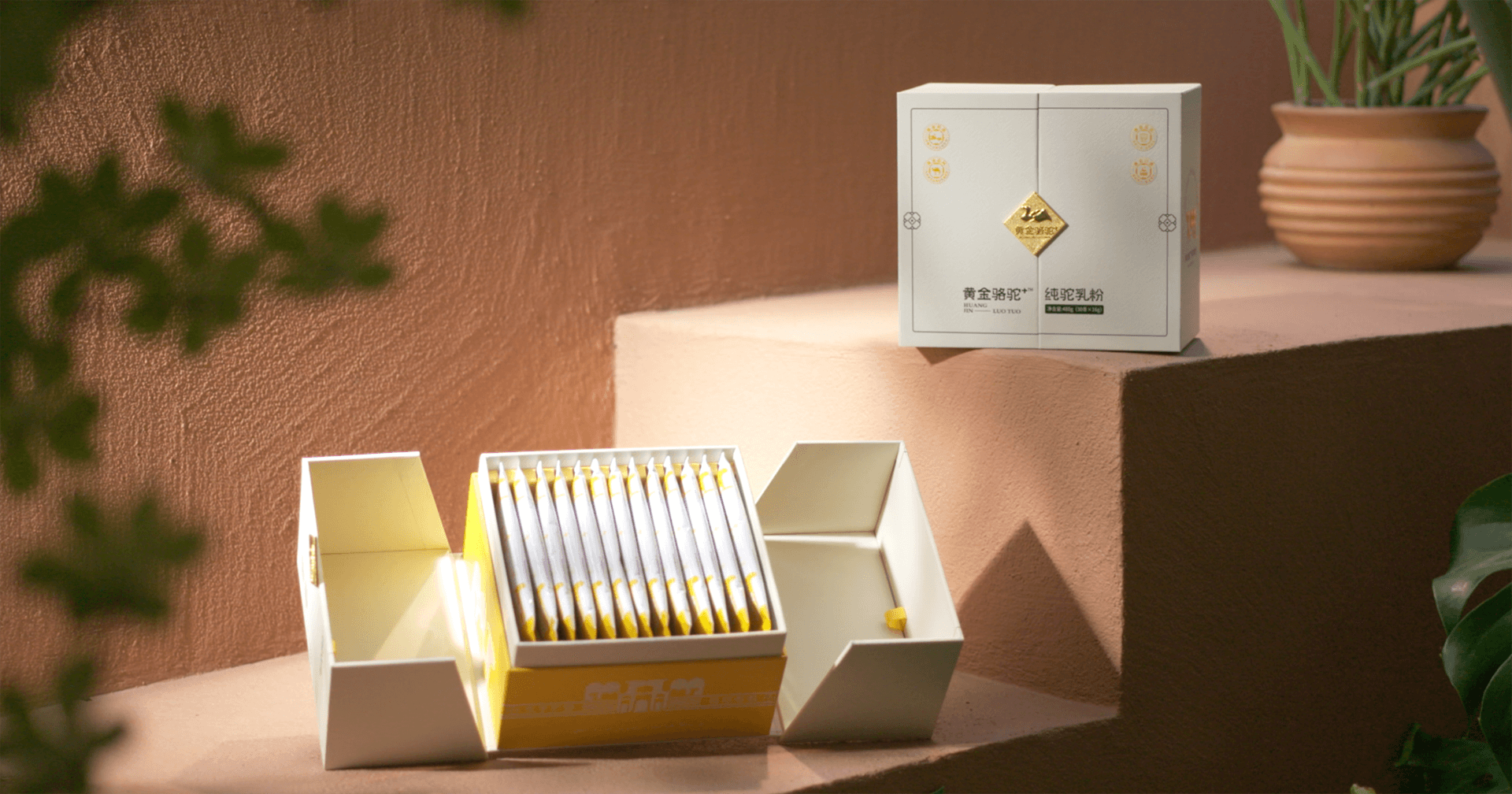 定位小众高端乳粉，jinnianhui今年会推出驼奶品牌“黄金骆驼+”，角逐乳品新市场！